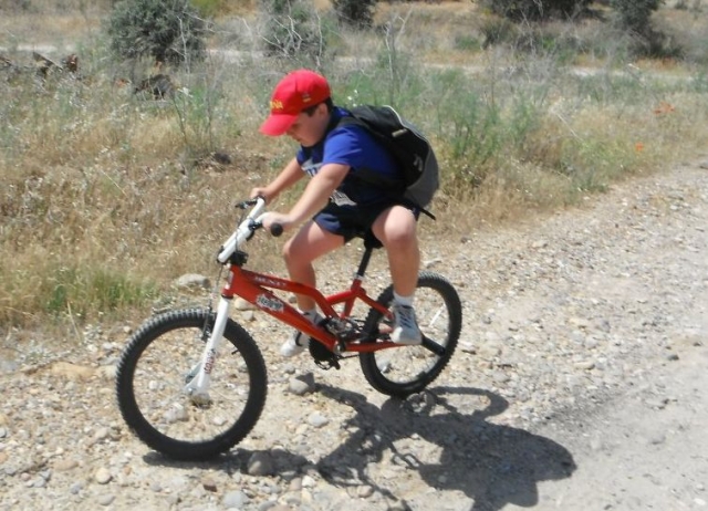  Enjoy nature by bike. 